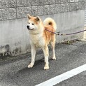 一時募集中止致します。