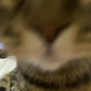 【諸事情により募集中止します】