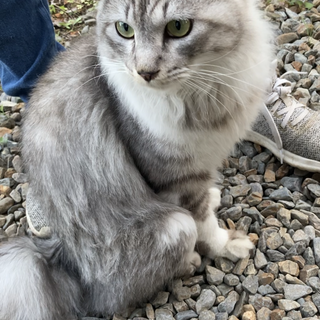 2歳のイケメン男の子