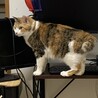 の写真