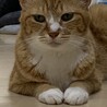の写真