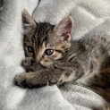 兄妹で素敵な家族が見つかりました
