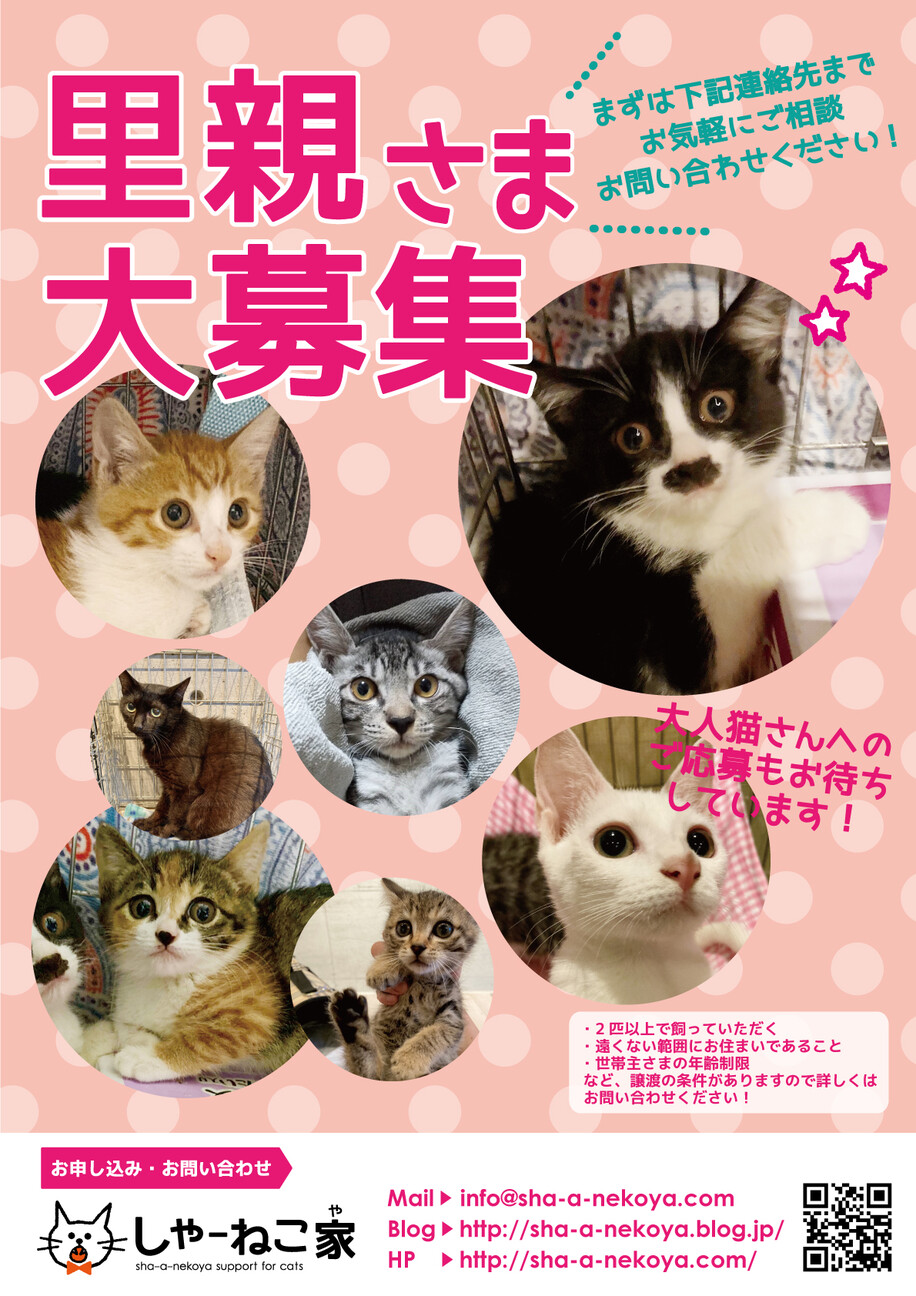 要予約】しゃーねこ家保」（シャーねこ家のイベント #18923
