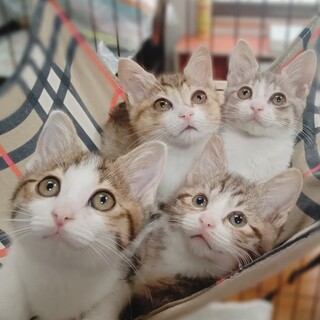 【動画有】小さな怪獣たち！ワクチン済！