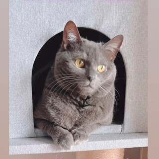 【12/24東銀座】ねねちゃん2-3歳♪