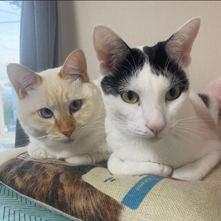 【お見合い歓迎】ひろ君☆しんご君