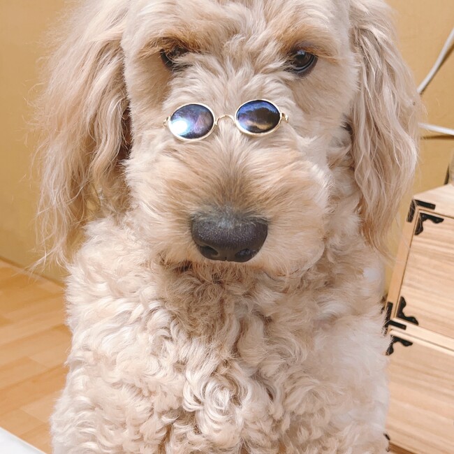 REE@のカバー写真
