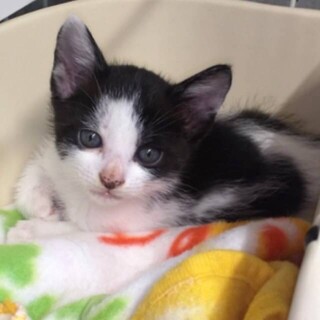 ありがとうございました！