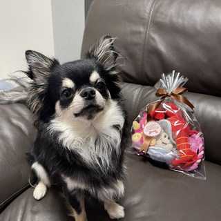 多数応募の為、一時募集を停止しています