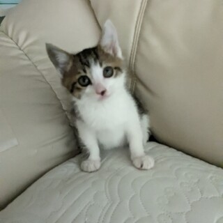 おっとりとても可愛い男の子❢