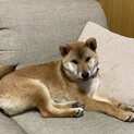 一生を幸せにしてくださる方と巡り会えますように