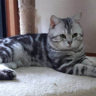 ちょっぴり怖がり、おっとりルイ君