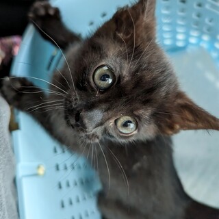 ♥家族ができました♥幸せのかぎじっぽ♡