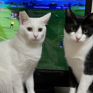 【お見合い歓迎]おかゆ君☆おじや君