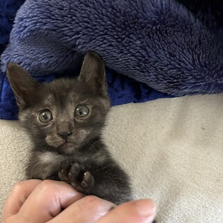 皆様どうもありがとうございました！