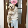 もう少しで1歳