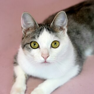 ゴロスリ甘えん坊♡とっても優しい子です♡