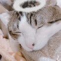 急いで探しております！