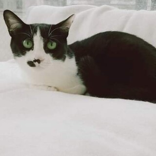 ハンデなんかに負けないよ