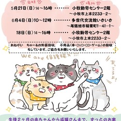 保護猫の譲渡会in小牧