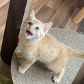 やんちゃな甘えっ子タケルくん