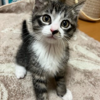 優しいご家族と出会えまし