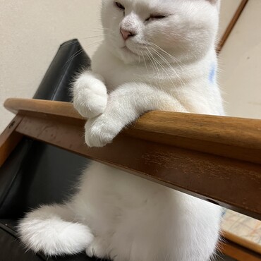 お気に入りのソファで。アンヨが可愛い❤️