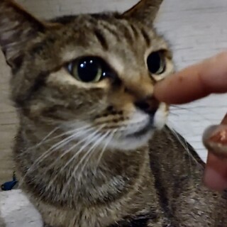 控えめで心優しい「たあり」ちゃん(^^)