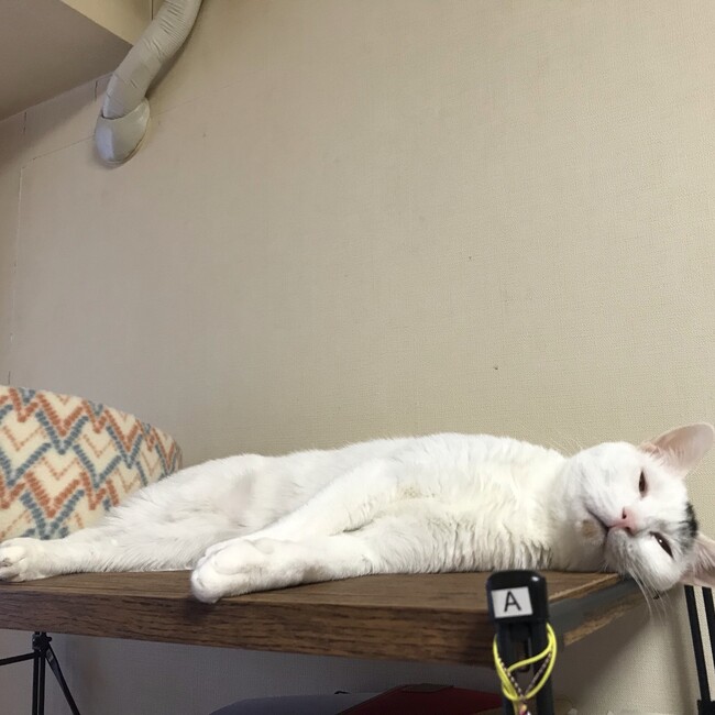 sisoのカバー写真