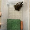 ヒサシのおうち