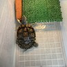 ヒサシのおうち2