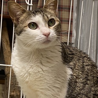 １歳くらいの女の子