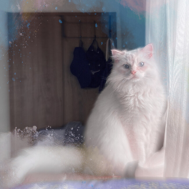 chisooのカバー写真