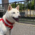 2年半センターで過ごした男の子☆わかくさくん