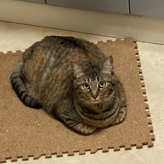 ありがとうございました★サクラちゃん