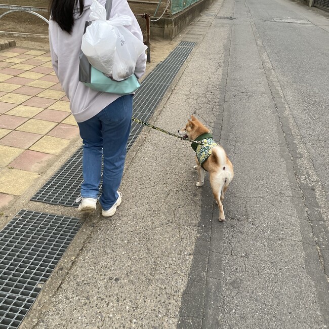 natsue.iのカバー写真