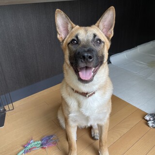 天真爛漫な男の子ちはる❤️野犬にも家族を