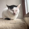 寝るのが大好きです☾ サムネイル2