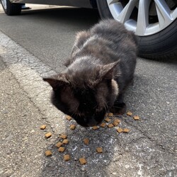 「今から3年前」サムネイル1