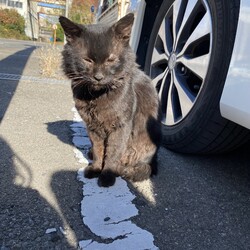 「今から3年前」サムネイル2