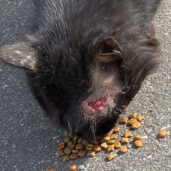 「今から3年前」サムネイル3