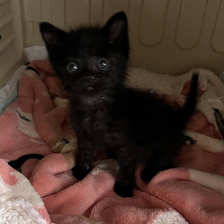 おりこうさんで甘えん坊☆空くん