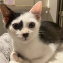 もーちゃん生後３か月