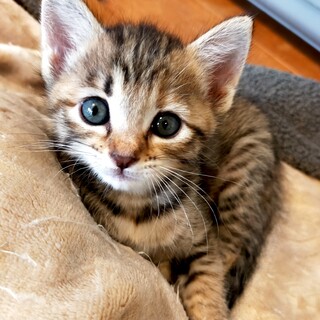 【面会待ち】甘えんぼでお姫様なアンちゃん