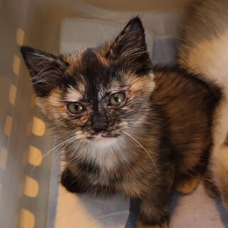 天真爛漫な女の子♪