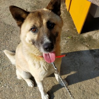 人が大好き！カイくん