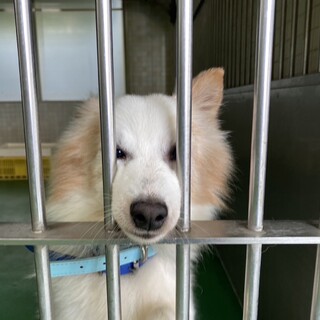 ありがとうございました！