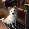 とても怖がりです。 サムネイル3