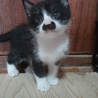 可愛い兄妹です！