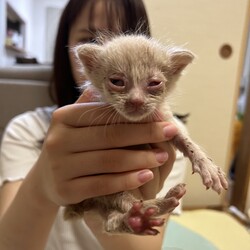 「生後1ヶ月のミルク」サムネイル2